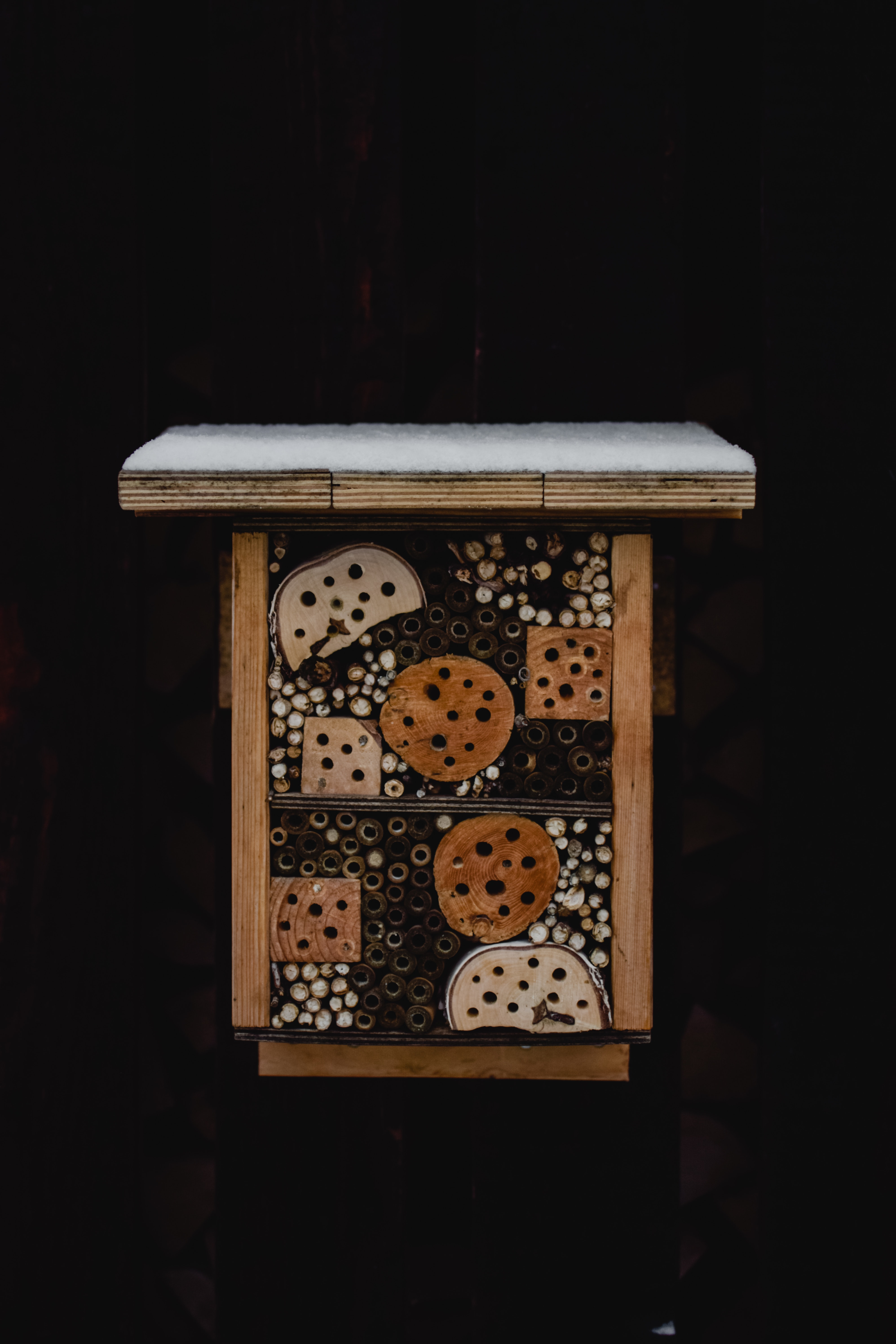 Help for bees - the perfect bee hotel and more - Help for bees - the perfect bee hotel and more