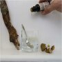 Propolis Tincture with 40% Propolis share
